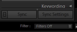 Sync satting in Lightroom
