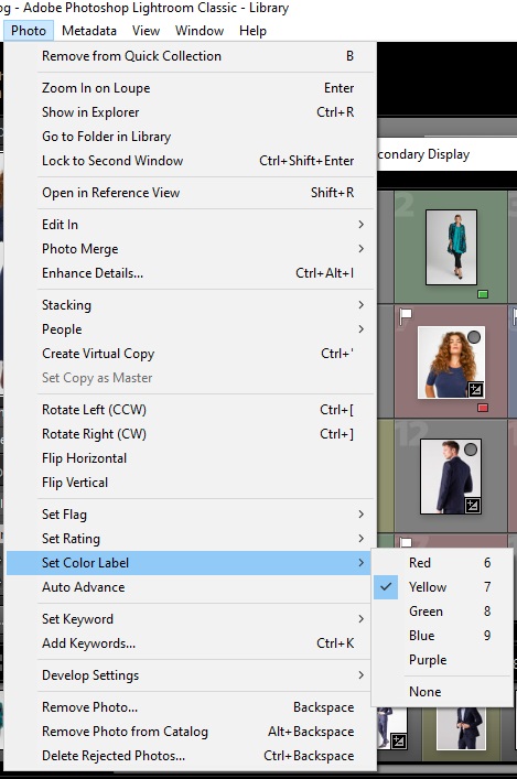 Mark the files with a flag or color in Lightroom