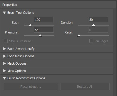 Brush Tool Options