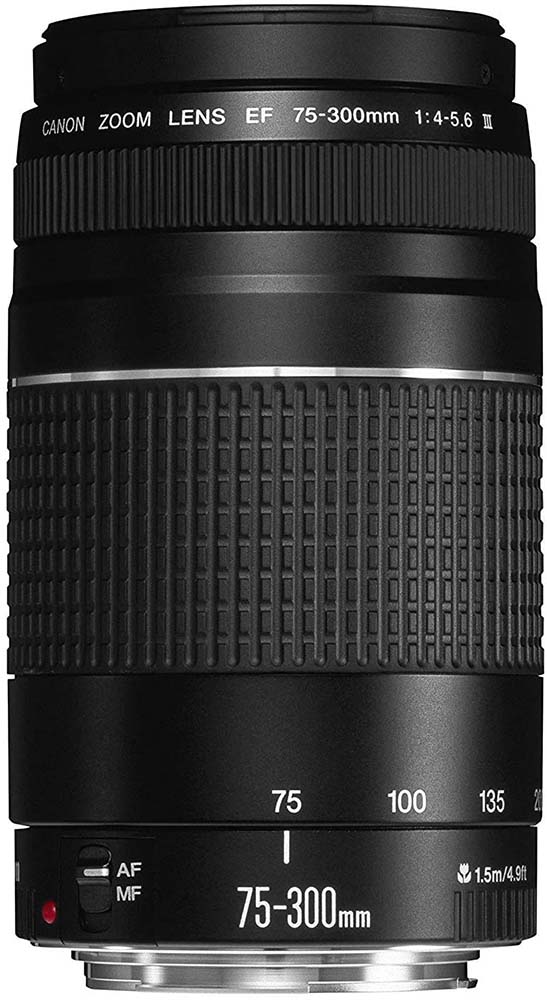 Canon EF 75-300mm f4-5.6 III Telephoto Zoom Lens