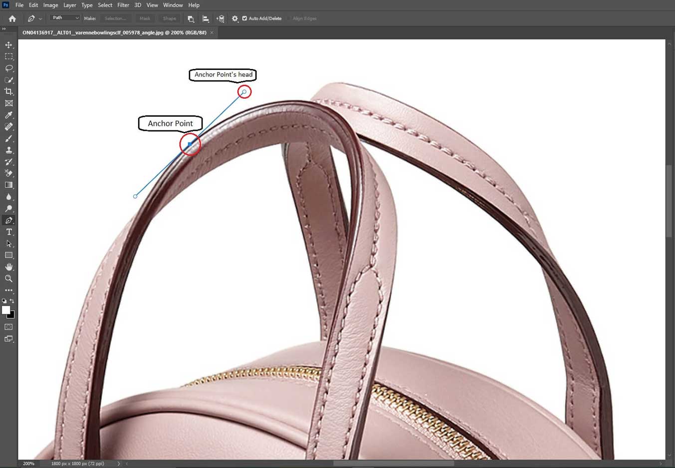 Create Anchor Points