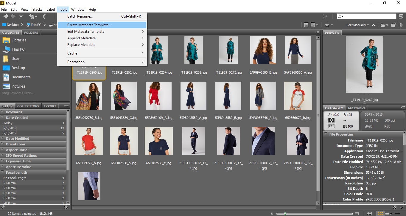 Creating metadata is another amazing feature of Adobe Bride