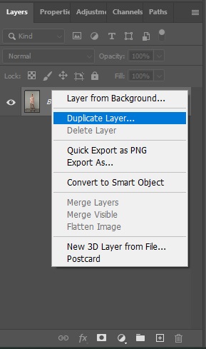 Duplicate Layer