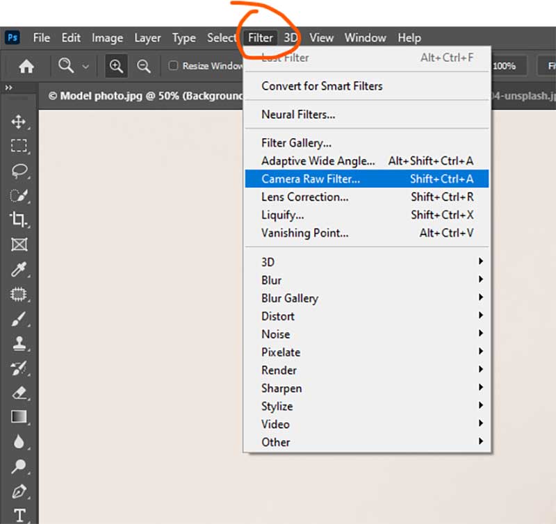 Filter camera raw for color grading choice