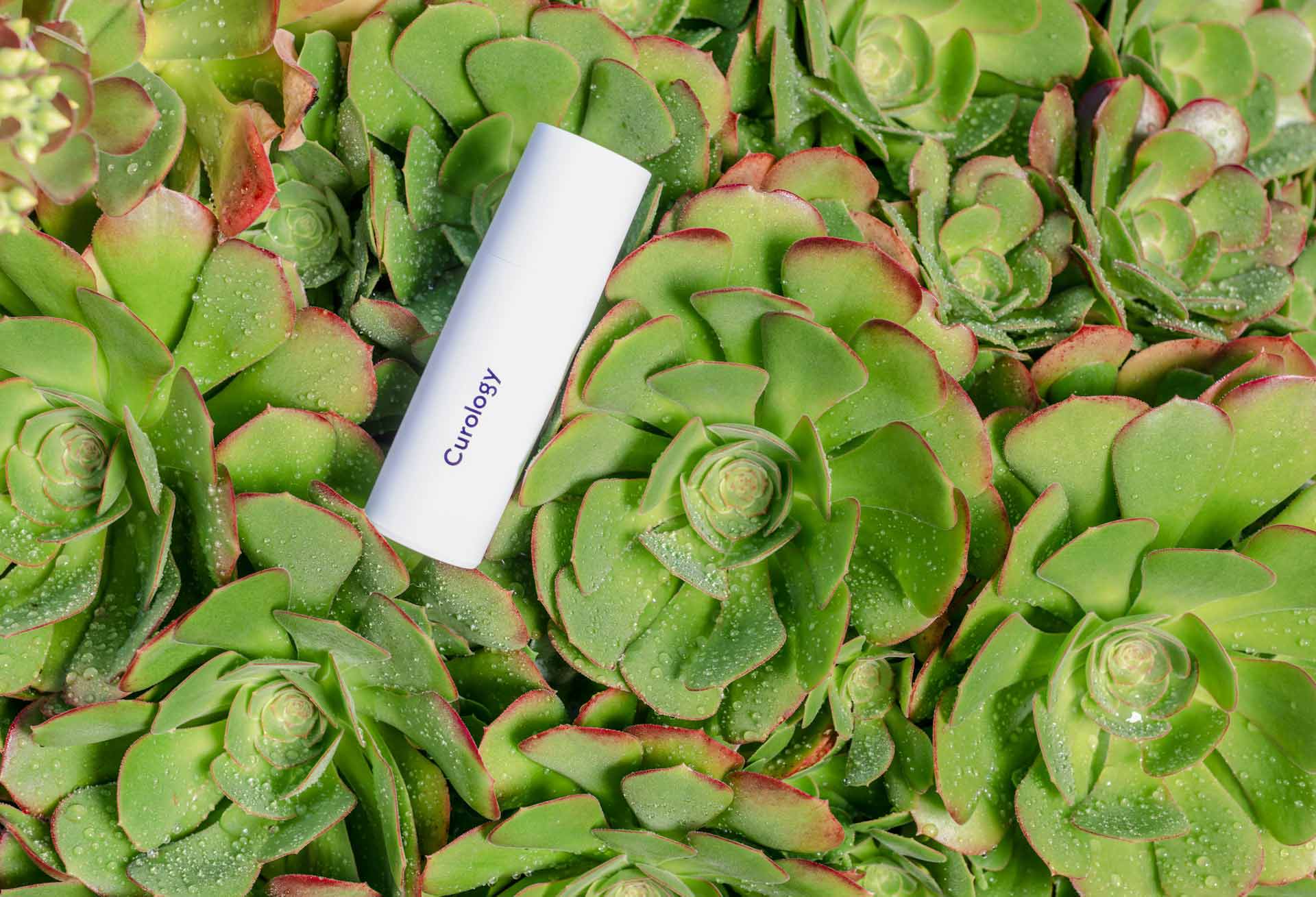 Photograph minimalist and bold