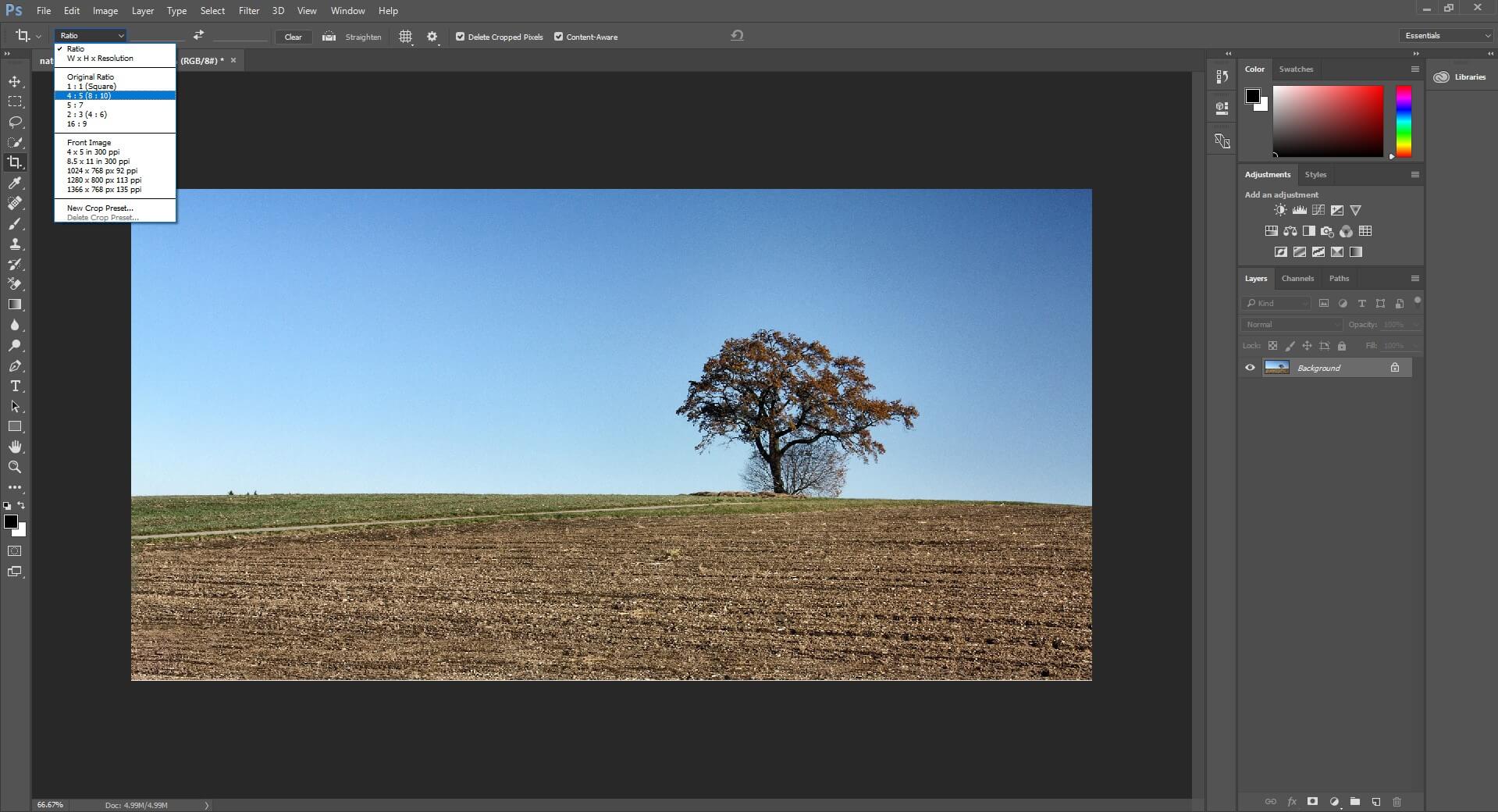 Crop ratio and Straighten Images