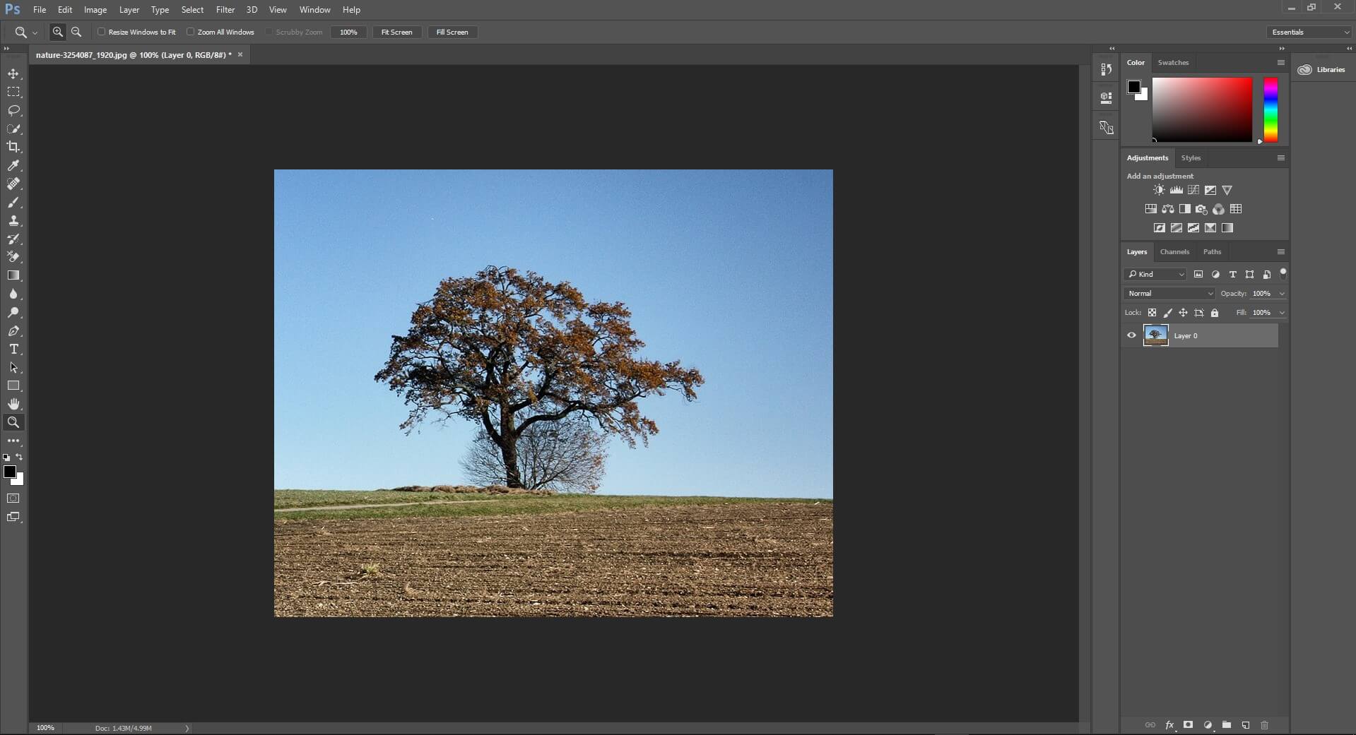 Crop and Straighten save Images