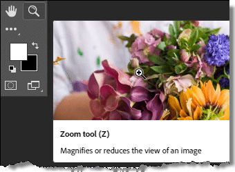 Zoom Tool