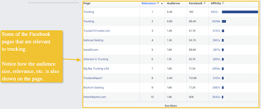 Facebook Audience Insights