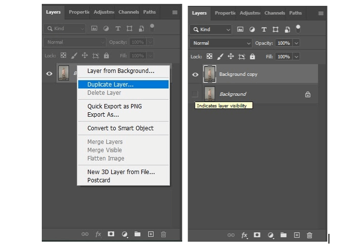 select Duplicate Layer