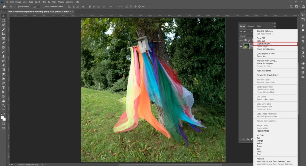 Open and duplicate the image