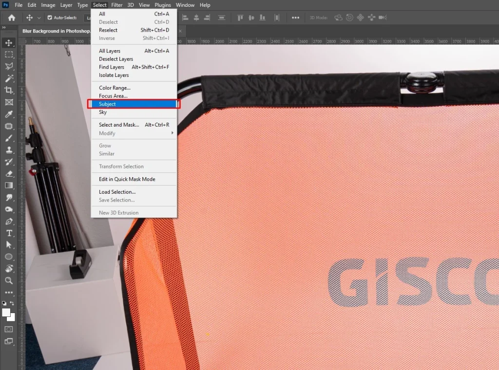 Select the main subject