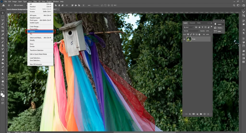 Select the subject automatically