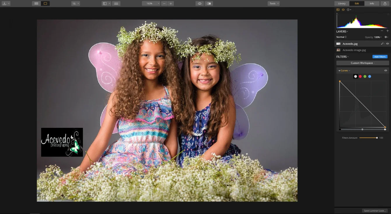 Skylum Luminar remove watermarks